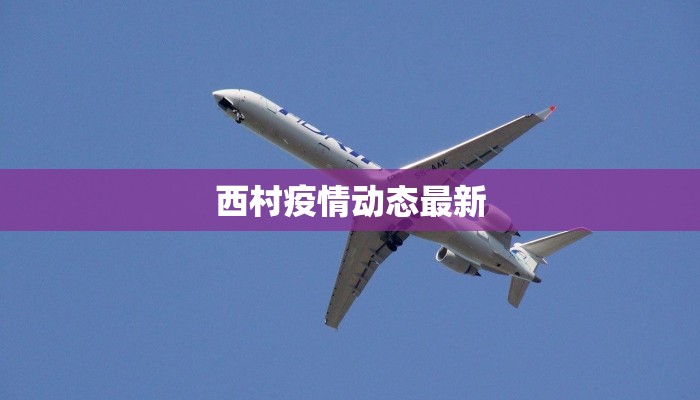 西村疫情动态最新