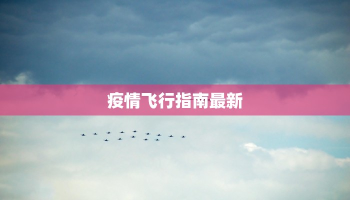 疫情飞行指南最新