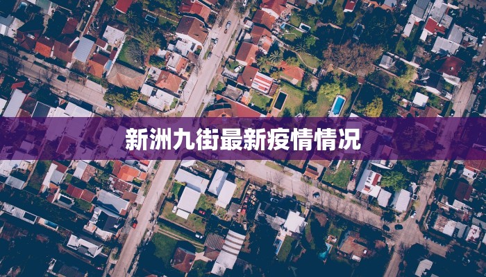新洲九街最新疫情情况