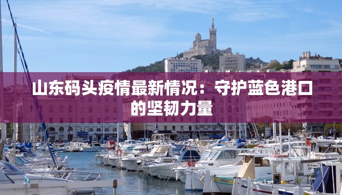 山东码头疫情最新情况：守护蓝色港口的坚韧力量