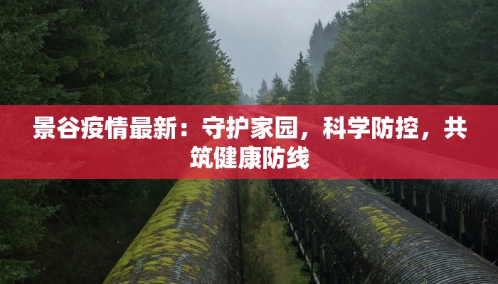 景谷疫情最新：守护家园，科学防控，共筑健康防线