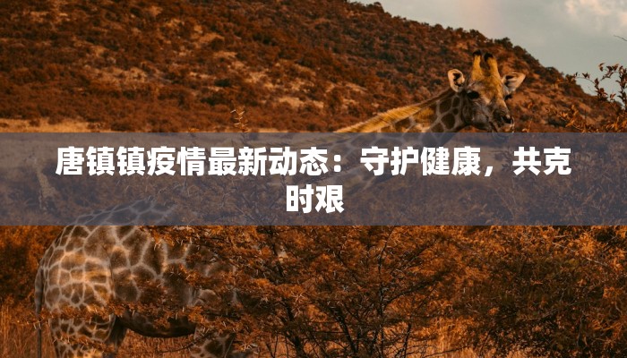 商丘太平疫情最新情况