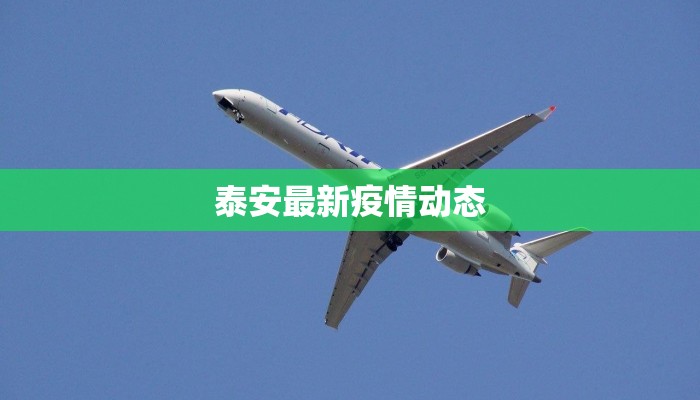 泰安最新疫情动态