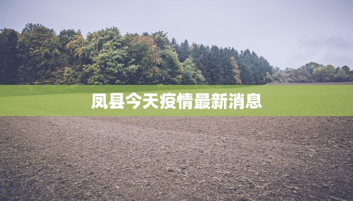 凤县今天疫情最新消息