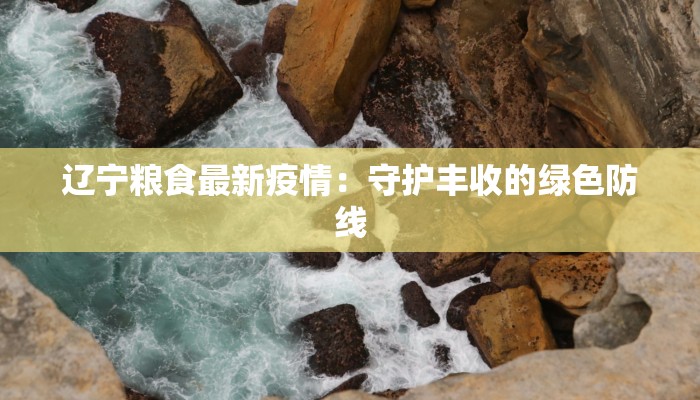 辽宁粮食最新疫情：守护丰收的绿色防线