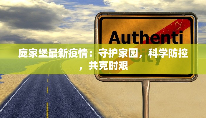 庞家堡最新疫情：守护家园，科学防控，共克时艰
