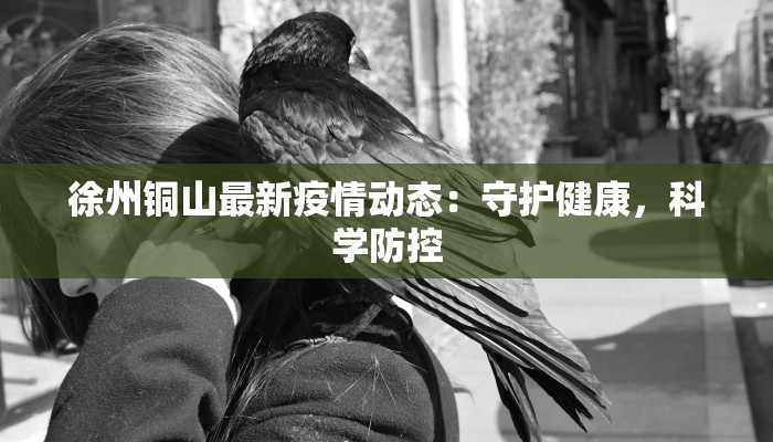 徐州铜山最新疫情动态:守护健康,科学防控 徐州铜山最新疫情动态:守护健康,科学防控
