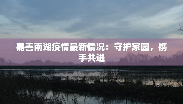 嘉善南湖疫情最新情况：守护家园，携手共进