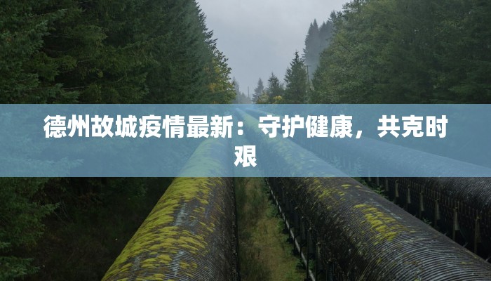 德州故城疫情最新:守护健康,共克时艰 德州故城疫情最新:守护健康,共克时艰