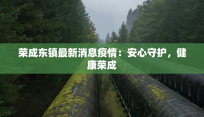 荣成东镇最新消息疫情：安心守护，健康荣成
