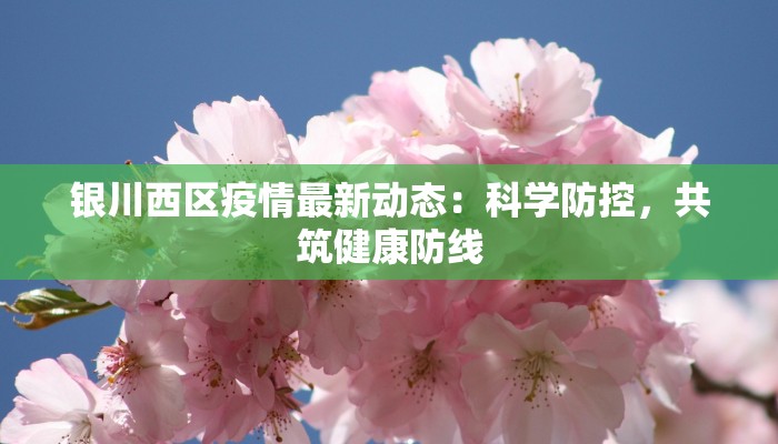 银川西区疫情最新动态：科学防控，共筑健康防线