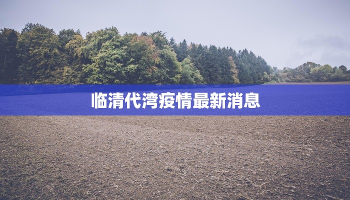 临清代湾疫情最新消息