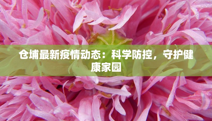 仓埔最新疫情动态:科学防控,守护健康家园 仓埔最新疫情动态:科学防控,守护健康家园