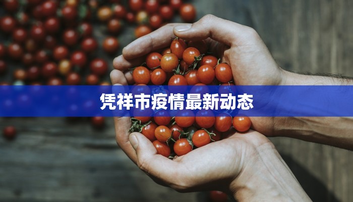 凭祥市疫情最新动态