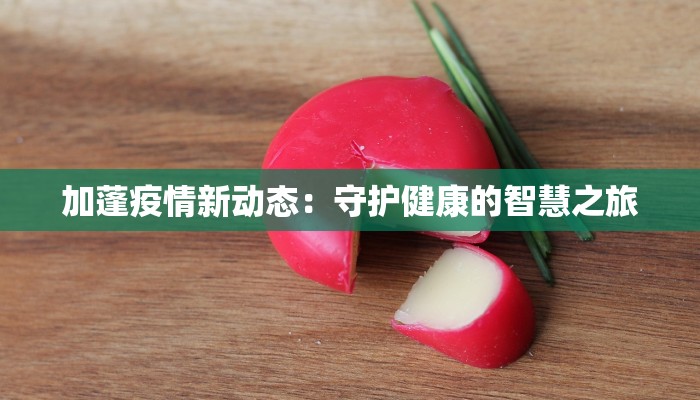 加蓬疫情新动态：守护健康的智慧之旅