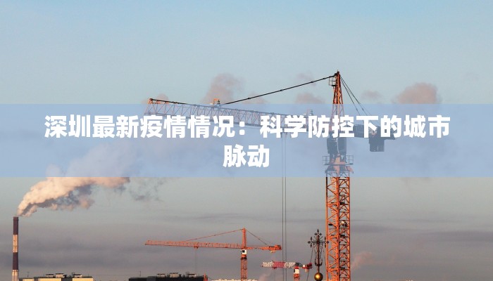 深圳最新疫情情况:科学防控下的城市脉动 深圳最新疫情情况:科学防控下的城市脉动