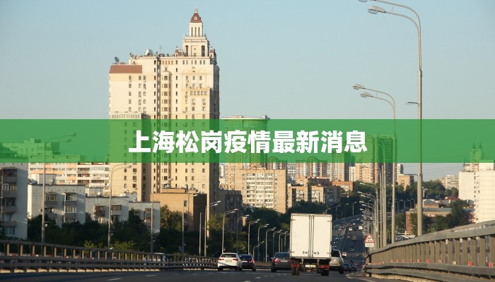 上海松岗疫情最新消息 上海松岗疫情最新消息