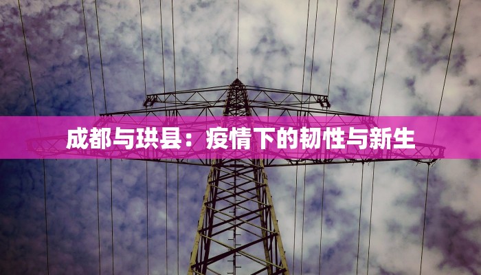 成都与珙县：疫情下的韧性与新生