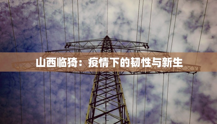 山西临猗：疫情下的韧性与新生