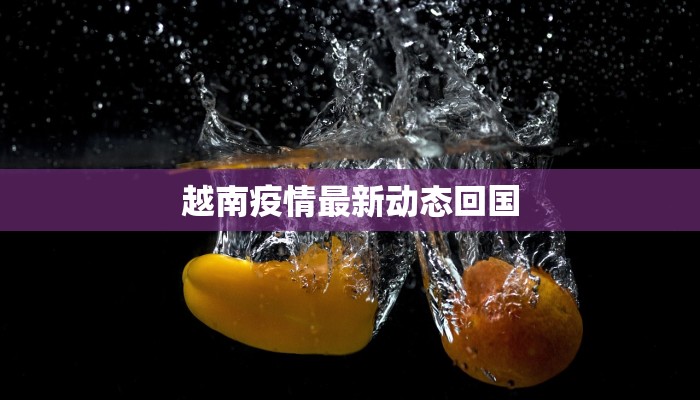 越南疫情最新动态回国