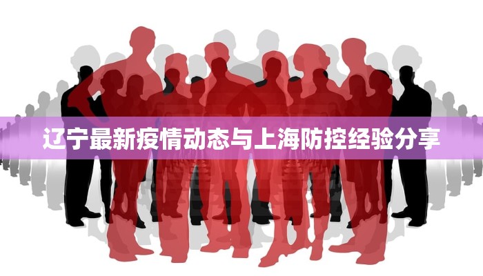 辽宁最新疫情动态与上海防控经验分享