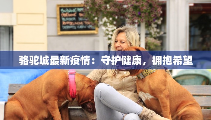 骆驼城最新疫情：守护健康，拥抱希望