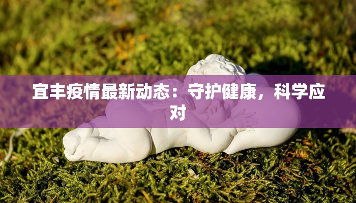 宜丰疫情最新动态：守护健康，科学应对