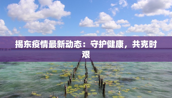 揭东疫情最新动态:守护健康,共克时艰 揭东疫情最新动态:守护健康,共克时艰