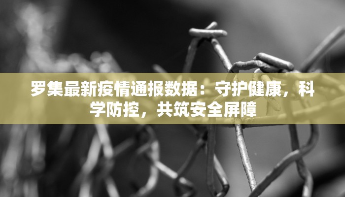 罗集最新疫情通报数据：守护健康，科学防控，共筑安全屏障