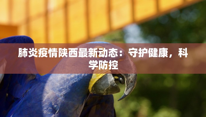 肺炎疫情陕西最新动态:守护健康,科学防控 肺炎疫情陕西最新动态:守护健康,科学防控