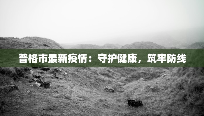普格市最新疫情:守护健康,筑牢防线 普格市最新疫情:守护健康,筑牢防线