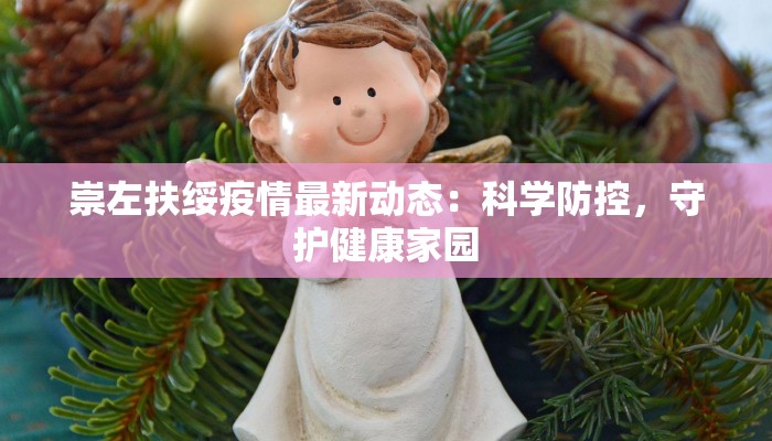 崇左扶绥疫情最新动态：科学防控，守护健康家园