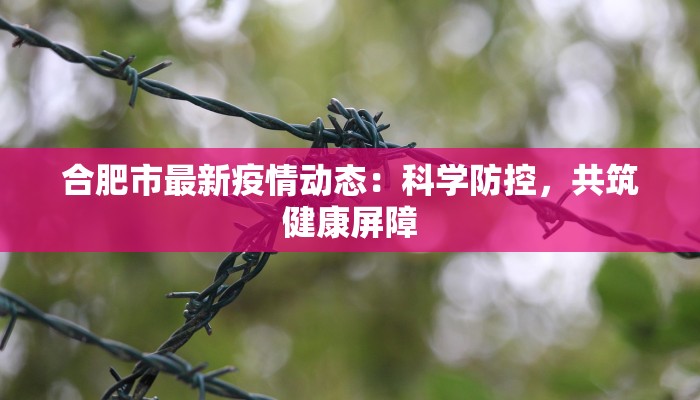 合肥市最新疫情动态:科学防控,共筑健康屏障 合肥市最新疫情动态:科学防控,共筑健康屏障