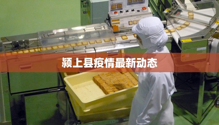 颍上县疫情最新动态