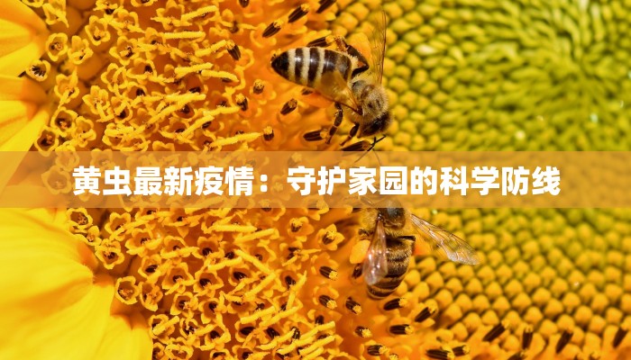 黄虫最新疫情:守护家园的科学防线 黄虫最新疫情:守护家园的科学防线