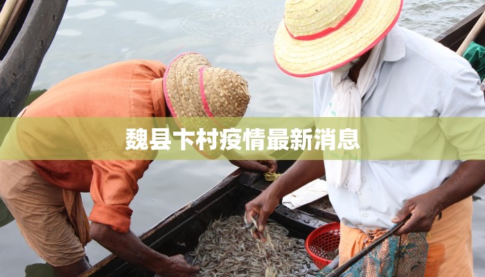 魏县卞村疫情最新消息 魏县卞村疫情最新消息