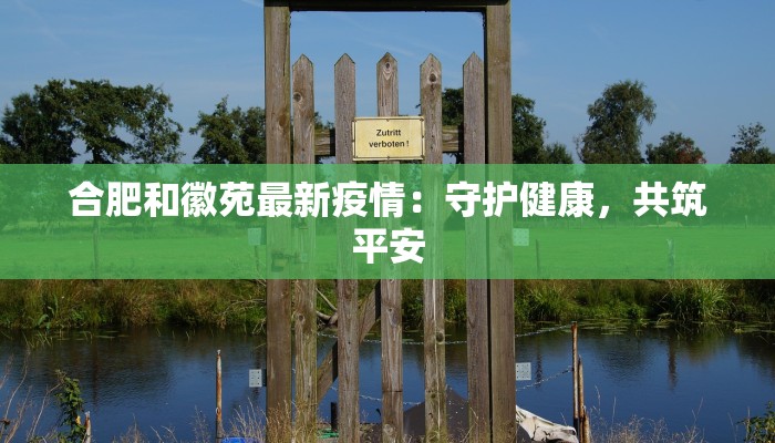 合肥和徽苑最新疫情：守护健康，共筑平安