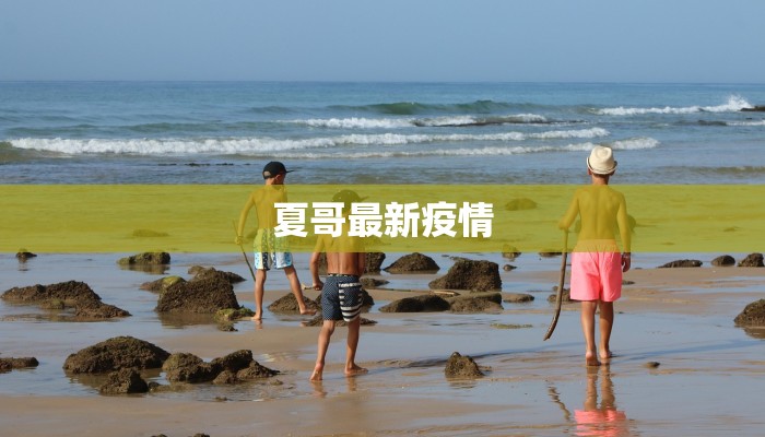 夏哥最新疫情 夏哥最新疫情