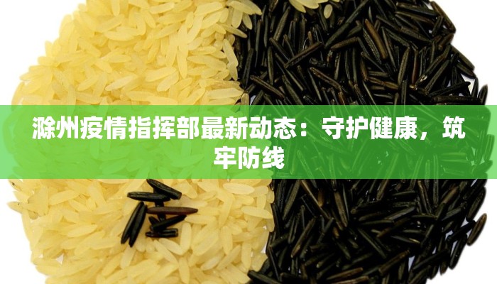 滁州疫情指挥部最新动态：守护健康，筑牢防线