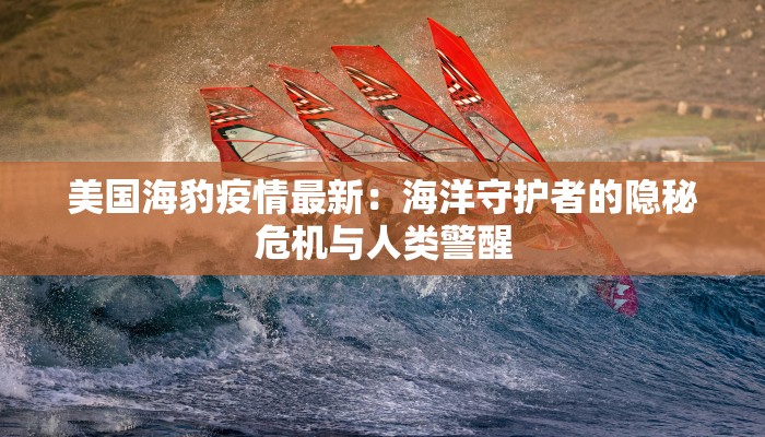 美国海豹疫情最新:海洋守护者的隐秘危机与人类警醒 美国海豹疫情最新:海洋守护者的隐秘危机与人类警醒