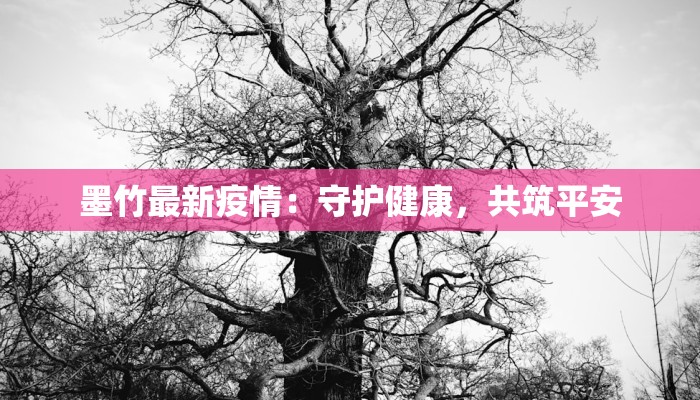 疫情延安最新信息：守护健康，安心前行