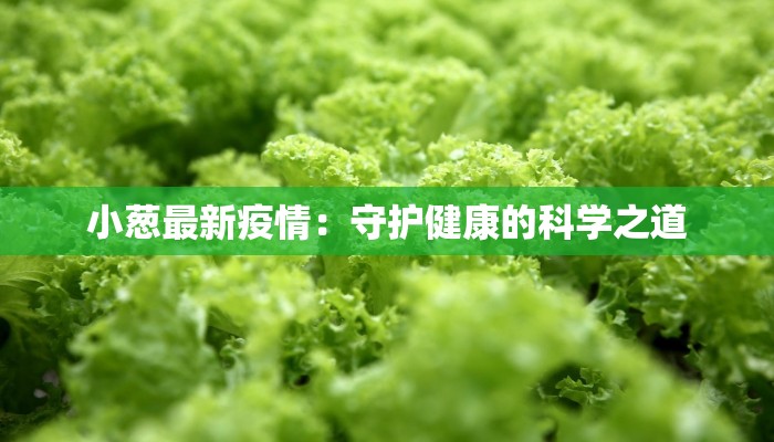 小葱最新疫情:守护健康的科学之道 小葱最新疫情:守护健康的科学之道