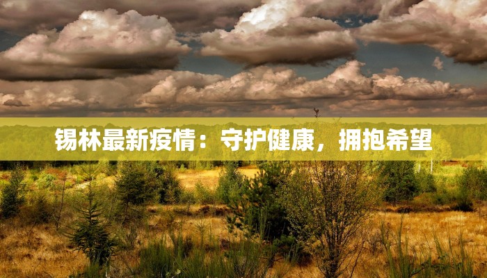 锡林最新疫情:守护健康,拥抱希望 锡林最新疫情:守护健康,拥抱希望