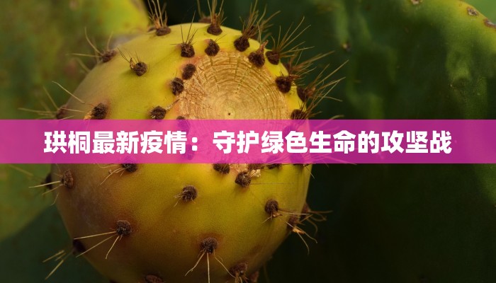 珙桐最新疫情:守护绿色生命的攻坚战 珙桐最新疫情:守护绿色生命的攻坚战