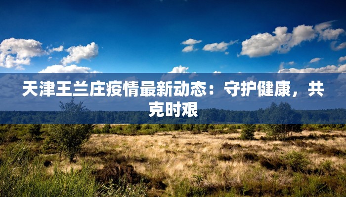 天津王兰庄疫情最新动态:守护健康,共克时艰 天津王兰庄疫情最新动态:守护健康,共克时艰