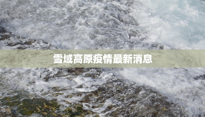 宁波甲村疫情最新消息：科学防控下的社区守护与希望曙光