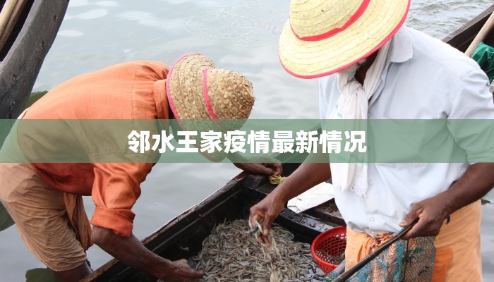 上海疫情最新自驾指南:安全出行,畅享自由 上海疫情最新自驾指南:安全出行,畅享自由