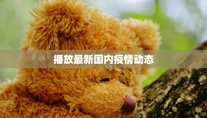 播放最新国内疫情动态 播放最新国内疫情动态