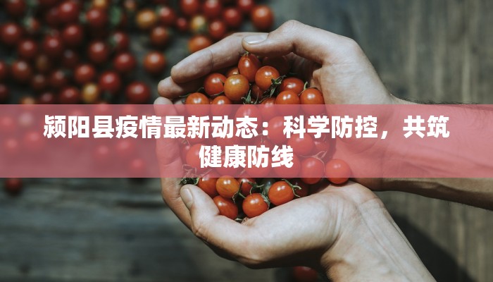 颍阳县疫情最新动态：科学防控，共筑健康防线