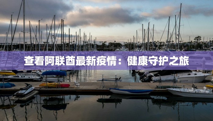 查看阿联酋最新疫情:健康守护之旅 查看阿联酋最新疫情:健康守护之旅